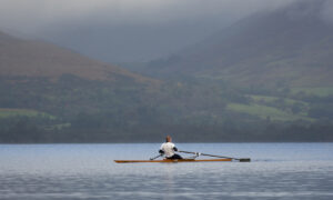 Outing justo morbi wild – New