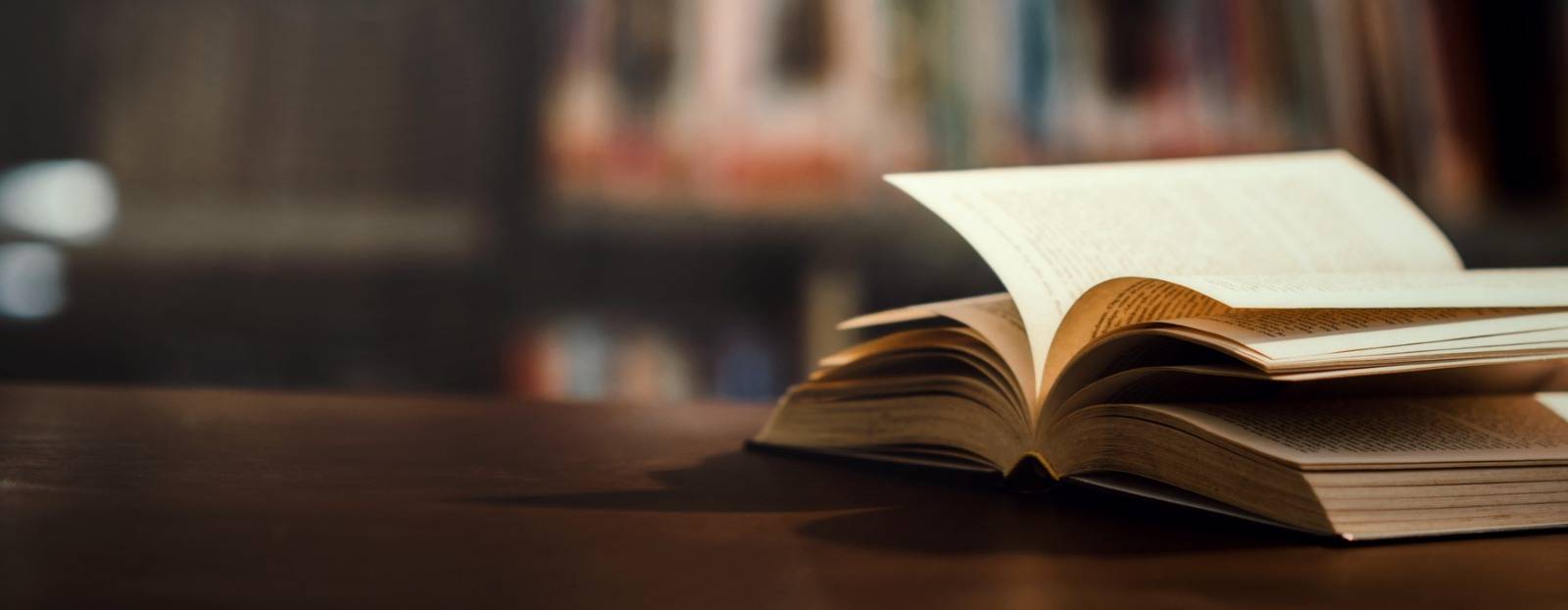 WhatsApp Image 2025 11 25 At 10.52.12 AM